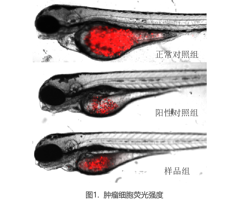 新建-空白-画面 (1).jpg 新建-空白-画面 (1).jpg